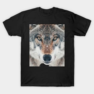 Wolf Alpha Allegiance T-Shirt